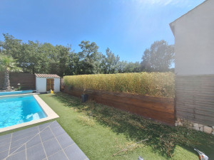 Photo de galerie - Taille de haies et d'arbustes