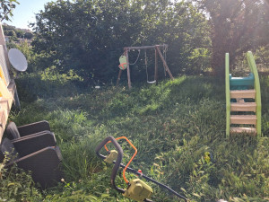 Photo de galerie - Tonte de pelouse - Débroussaillage