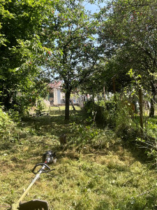 Photo de galerie - Débroussaillage de terrain en pente 