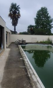 Photo de galerie - Peinture 