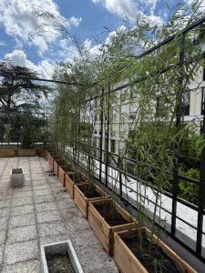 Photo de galerie - Paysagiste - Aménagement du jardin