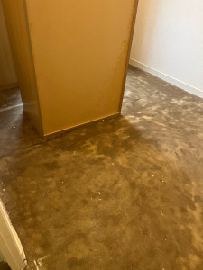 Photo de galerie - Dépose et pose d’une moquette 