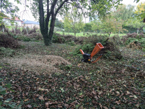 Photo de galerie - Paysagiste - Aménagement du jardin