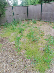 Photo de galerie - Jardinier