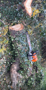 Photo de galerie - N