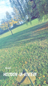 Photo de galerie - Tonte une pelouse 