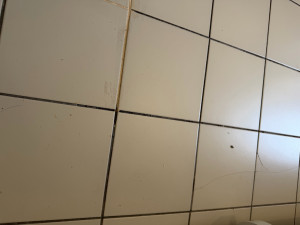 Photo de galerie - Après la prestation 