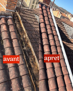 Photo de galerie - Couverture - Toiture