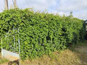 Photo de galerie - Avant