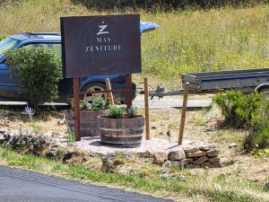 Photo de galerie - Création massif comporte plus gravier avec plantations 
