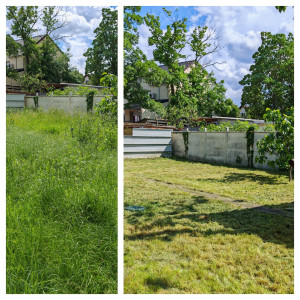 Photo de galerie - Tonte et debroussailleuse herbes hautes 