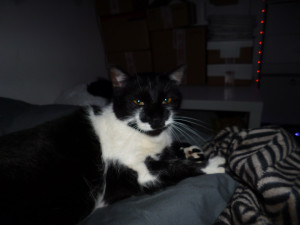 Photo de galerie - ‼️