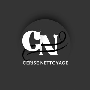 Photo de galerie - Repassage à mon  domicile ou votre domicile 