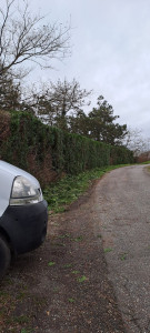 Photo de galerie - Après 