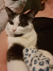 Photo de galerie - Câlin 