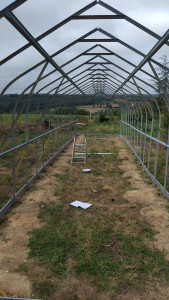 Photo de galerie - Paysagiste - Aménagement du jardin