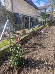 Photo de galerie - Paysagiste - Aménagement du jardin