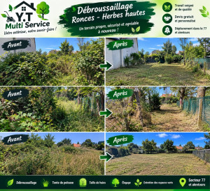 Photo de galerie - Débroussaillage
