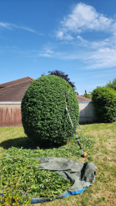 Photo de galerie - Paysagiste - Aménagement du jardin