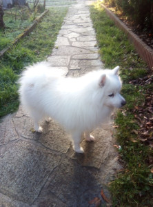 Photo de galerie - Casper -12/25