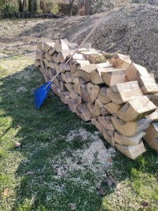 Photo de galerie - 
« Après le démontage d’un noyer, le bois a été débité en bûches de 30 cm, fendu puis rangé proprement en stère selon la demande du client. »
