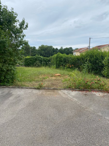 Photo de galerie - Abattage 