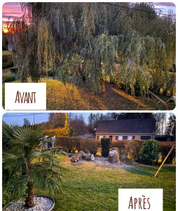 Photo de galerie - Elagage et coupe d'arbres