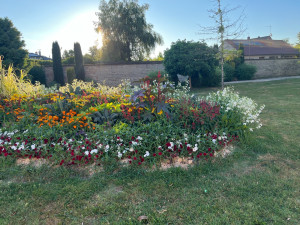Photo de galerie - Paysagiste - Aménagement du jardin