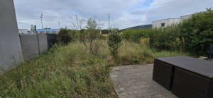 Photo de galerie - Tonte de pelouse - Débroussaillage