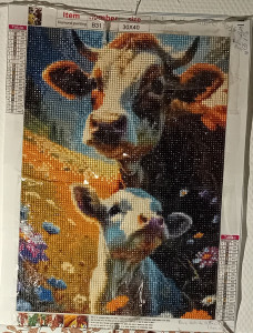 Photo de galerie - Broderie diamond = placer des demie perles sur une toile précolée en suivant les numéros des diverses couleurs. 