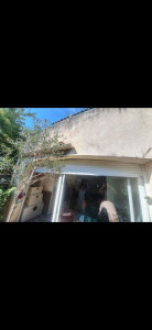 Photo de galerie - Elagage et coupe d'arbres