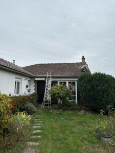 Photo de galerie - Demoussage manuel des tuiles 