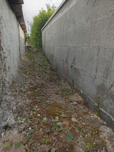 Photo de galerie - Tonte de pelouse - Débroussaillage