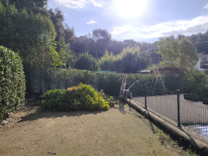 Photo de galerie - Taille de haies et d'arbustes