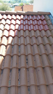 Photo de galerie - Changement tuile