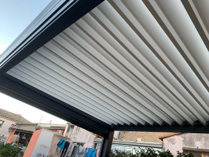 Photo de galerie - Nettoyeur de vitres