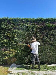 Photo de galerie - Jardinier