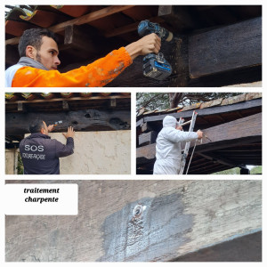 Photo de galerie - Traitement de charpente 
