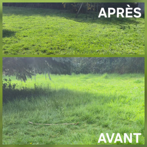 Photo de galerie - Tonte de pelouse - Débroussaillage