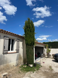 Photo de galerie - Taille d’un cyprès de Provence 