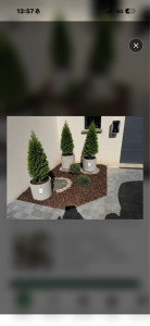 Photo de galerie - Après travaux 