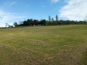 Photo de galerie - J'ai tondu terrain de 5000m2