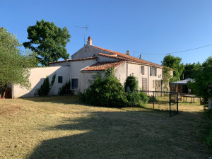 Photo de galerie - Tonte de pelouse - Débroussaillage