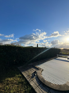 Photo de galerie - Taille de haies et d'arbustes