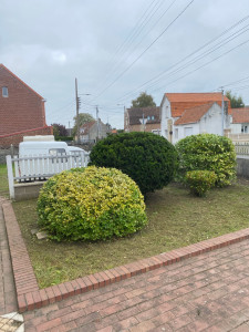 Photo de galerie - Elagage et coupe d'arbres