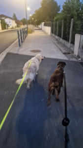 Photo de galerie - Promenade du soir, bonsoir ^^