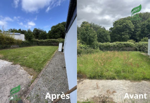 Photo de galerie - Tonte de pelouse - Débroussaillage