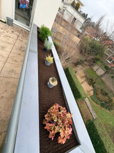 Photo de galerie - Mise en terre d’arbustes 