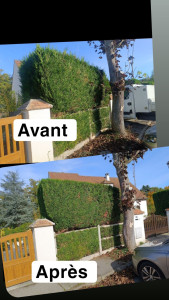 Photo de galerie - Haie 