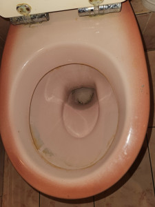 Photo de galerie - Before  it 